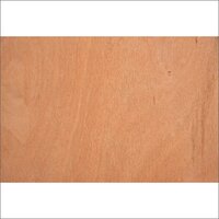 Century Sainik Plywood