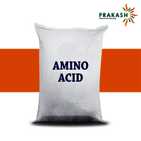 Amino Acid Powder
