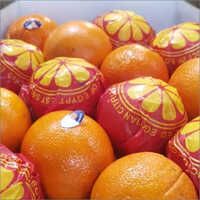 Greenhouse Valencia Orange