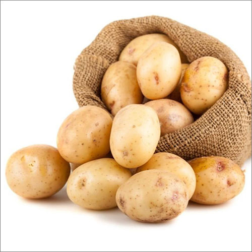 Round Fresh Potato