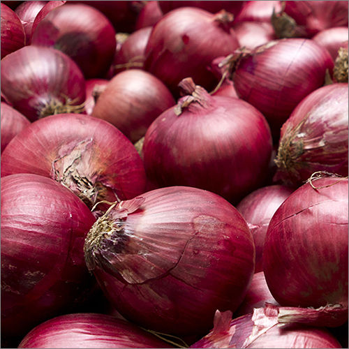 Round Red Onion