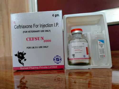 Ceftriaxone 4 gm Veterinary Injection In PCD Franchise