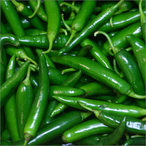 Natural Green Chillies