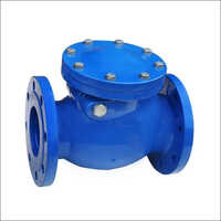SS 304 Non Return Valve