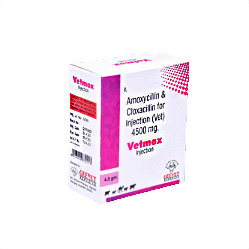 Liquid Vetmox 4500mg Amoxicillin With Cloxacillin For Injection