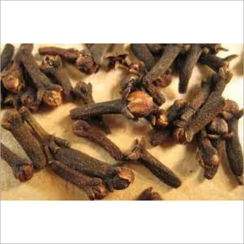 Natural Dry Whole Cloves Grade: First Class at Best Price in Ernakulam ...