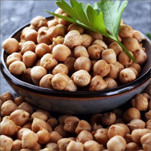 Common White Chickpea