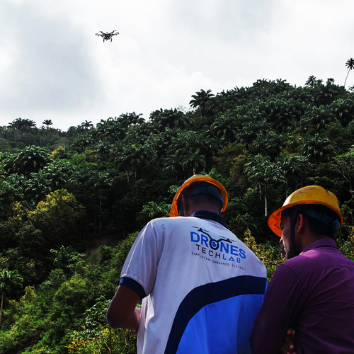 Forest monitoring service using drones