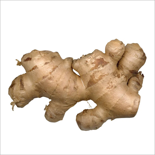 Fresh Ginger Shelf Life 45 Days at Best Price in Thanjavur Sky Line