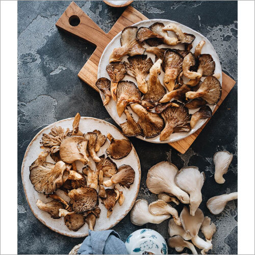 Natural Dried Oyster Mushroom - First Class Quality Fresh Style | Safely Packaged for Optimal Preservation and Export Quality