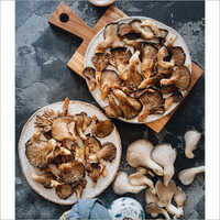 Natural Dried Oyster Mushroom - First Class Quality, Fresh Style | Safely Packaged For Optimal Preservation And Export Quality
