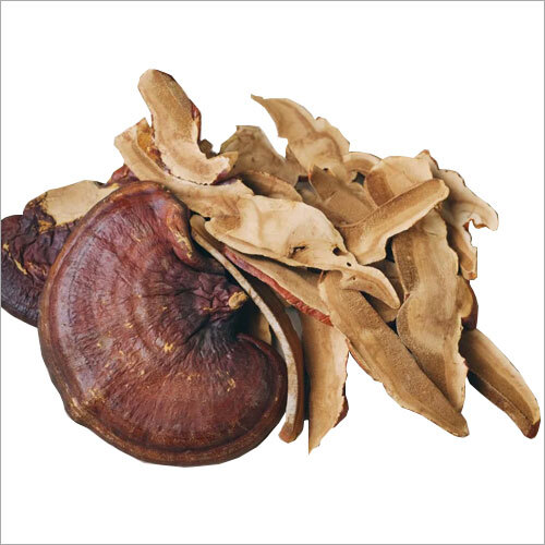 Dried Reishi Mushrooms - First Class Quality Fresh Style Immune System Support | Variety of Packaging Options for Convenient Use