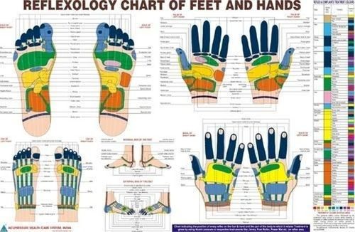 Reflexology Chart