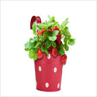 Iron Round Hook Railing Planter - Polished Metal, 177.8mm Size | Vibrant Red, Orange, Green, Yellow, White Polka Dots For Garden Decor