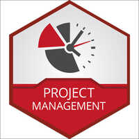 Commercial Project Management Services