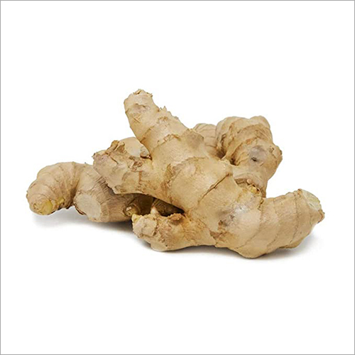 Fresh Ginger