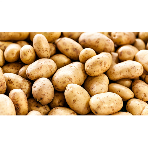 Fresh Potato Moisture (%): 50%