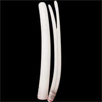 Pu Foam Backup Rod - Spherical Polyethylene Foam, White Color , Flexible Round Profile For Joint Backfilling And Sealant Regulation