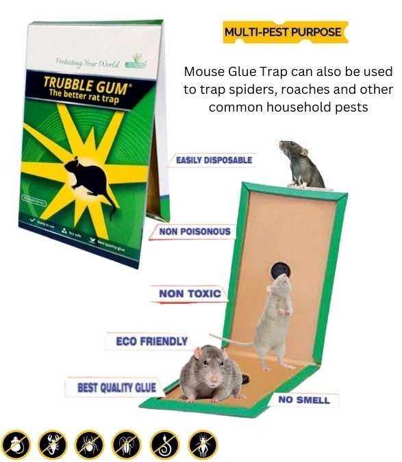 Mouse Glue trap PCI