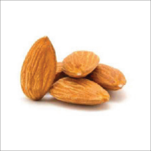 Brown Natural Almond at Best Price in Jalandhar, Punjab Glosail