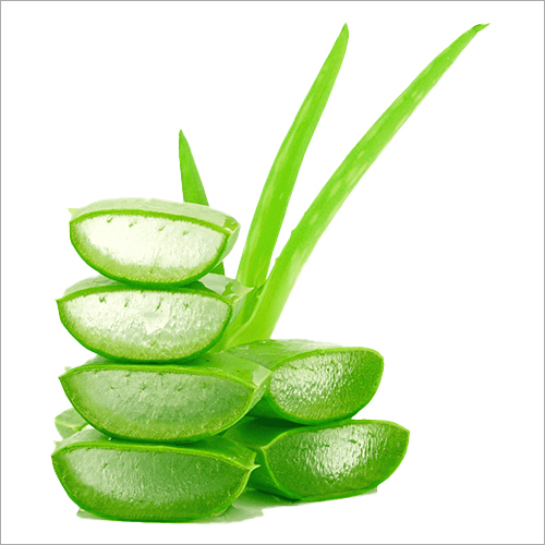 Fresh Aloe Vera Hair Gel