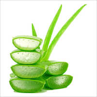 Fresh Aloe Vera Hair Gel Ingredients: Herbal Extract