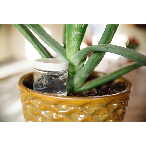 Natural Essence Aloe Vera Gel