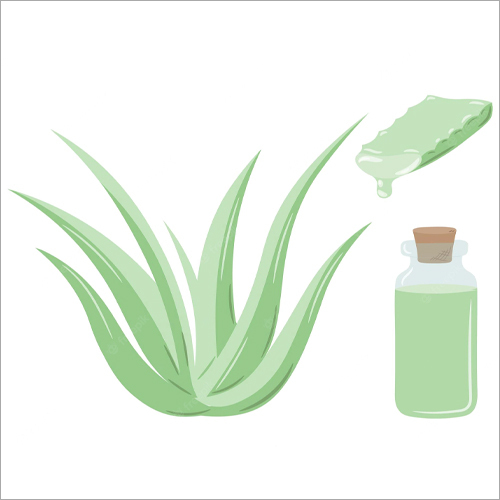 Organic Green Aloe Vera Gel