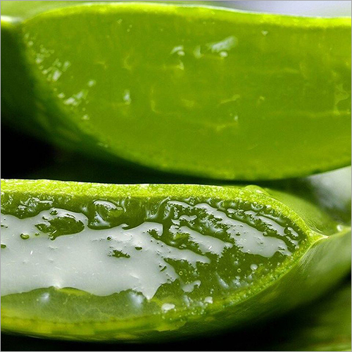Aloe Vera Skin Gel
