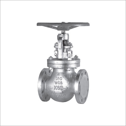 Silver Globe Valve