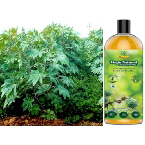 Cold Pressed Virgin Castor Oil