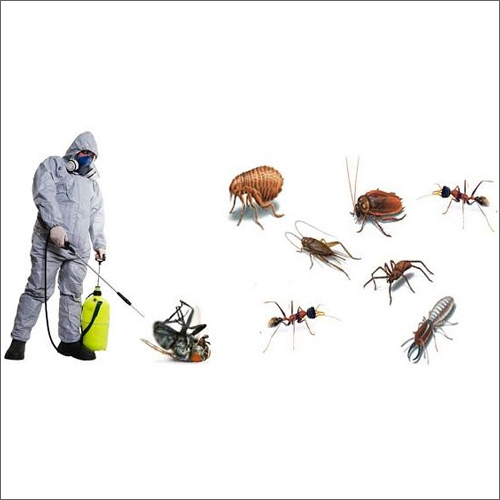 General Pest Management Service