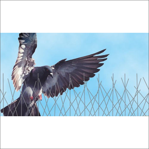 Bird Spikes Services