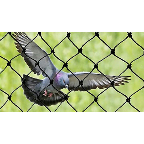Pigeon Netting Services