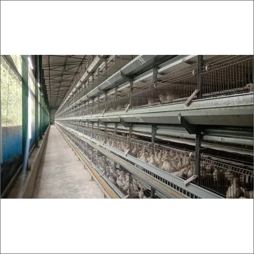 Stainless Steel Chick Cum Grower Battery Cages