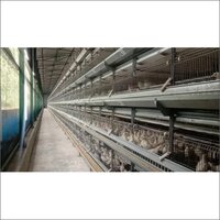 Stainless Steel Chick Cum Grower Battery Cages - Steel Material, 30 Inch Depth, Gray Color | Durable Design For Efficient Poultry Housing