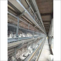 GI Automatic Brooding Cum Growing Cage