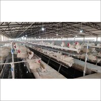 Wi Wire Parents Poultry Cages - Gi Wire Material, Gray Color | Manual Operation, Durable Design For Optimal Poultry Housing