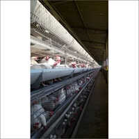 GI Wire H-Type Automatic Layer Cage