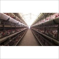 Gi Wire H-type Automatic Poultry Cage - Gi Wire Material, Manual Technology, Gray Color | Durable Automatic Design, Efficient Space Utilization