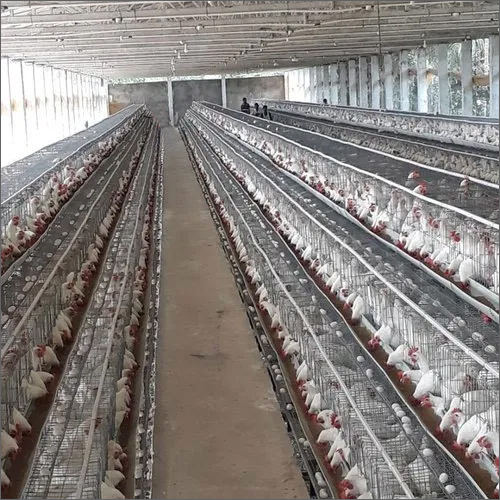 GI Wire Broiler Parent Layer