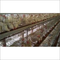 21x15x15 Inch Gi Egg Cage - Manual, Gray - Durable Cage Design For Optimal Egg Storage And Protection