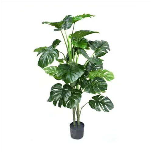Artificial Aavana Tree - Color: Green