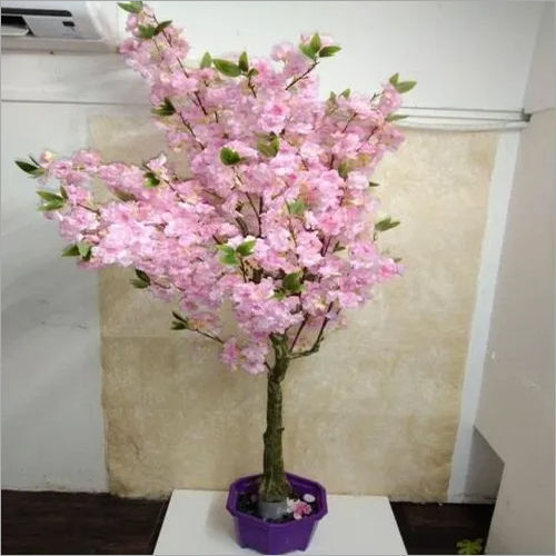 Multicolor Cherry Blossom Flowers Tree 120Cm