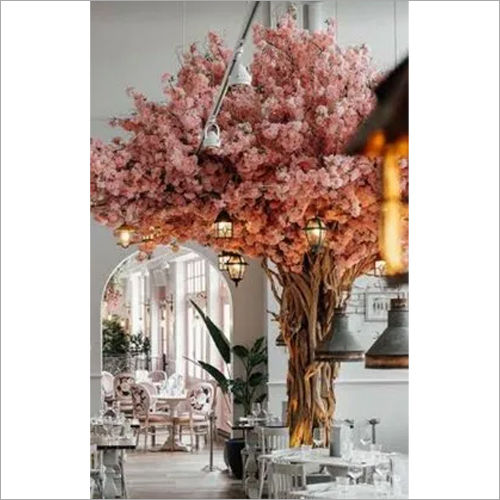 Multicolor Cherry Blossom Flowers Tree