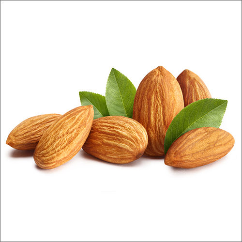 Common Brown Almond Nut