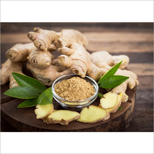 Fresh Ginger - Fresh Root | Slightly Peppery Taste, Pungent Aroma, Contains Vitamin B6, C, Dietary Fiber, Shelf Life: 5-7 Days, Use in Cooking or Teas