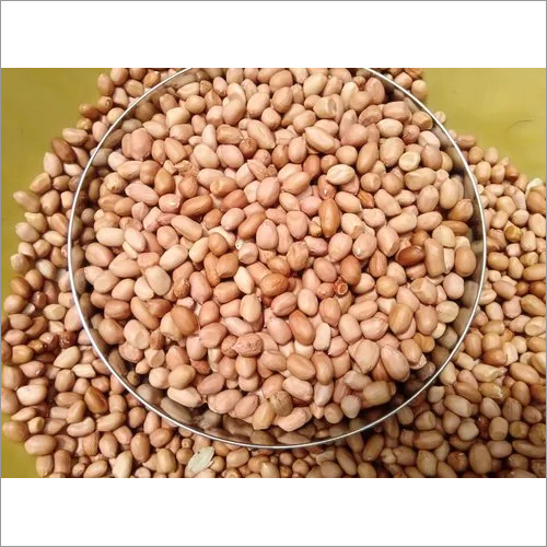 Common Natural Peanut Seed