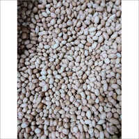 White Java Peanuts - Moisture 8%-9%, Oil Content 42%-48%, Size 50/60 | First Class Quality, Fresh Raw Variety