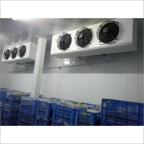 White Frozen Food Cold Storage Room